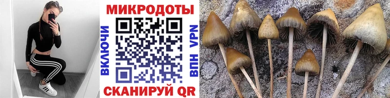 сколько стоит  кракен ТОР  Псилоцибиновые грибы Magic Shrooms  Володарск 